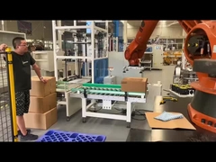 自動箱4の軸線の共同のロボットPalletizer Yaskawa MPL500